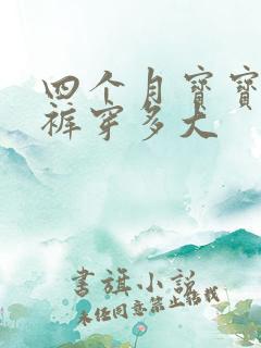 四个月宝宝纸尿裤穿多大