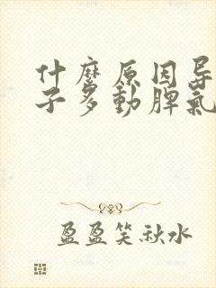 什么原因导致孩子多动脾气暴躁