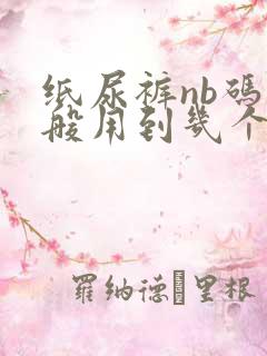 纸尿裤nb码一般用到几个月