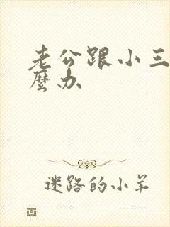 老公跟小三住怎么办