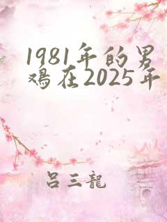 1981年的男鸡在2025年的运势