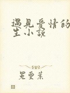 遇见爱情的利先生小说