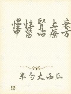 慢性肾上衰竭的中医治疗方法