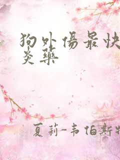 狗外伤最快的消炎药