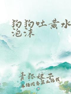 狗狗吐黄水,带泡沫