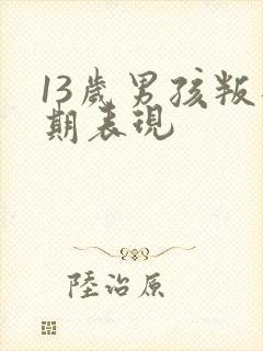 13岁男孩叛逆期表现