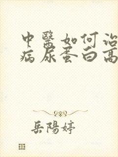 中医如何治疗肾病尿蛋白高