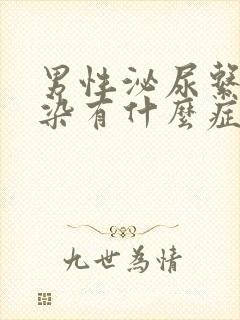 男性泌尿系统感染有什么症状