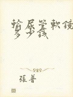 输尿管软镜取石多少钱