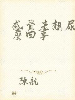 感觉老想尿是怎么回事