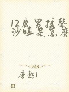 12岁男孩声音沙哑是怎么回事