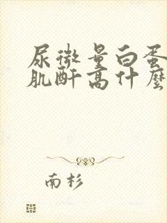 尿微量白蛋白尿肌酐高什么事