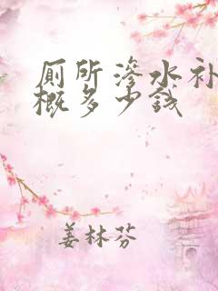 厕所渗水补漏大概多少钱