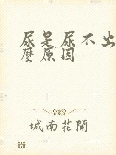 尿是尿不出的什么原因