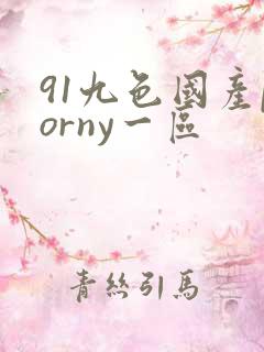 91九色国产porny一区