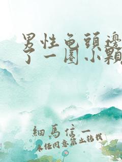 男性龟头边缘长了一圈小颗粒