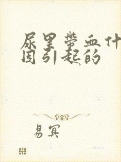 尿里带血什么原因引起的