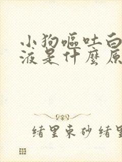 小狗呕吐白色粘液是什么原因