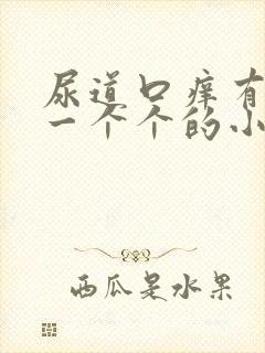 尿道口痒有很多一个个的小疙瘩是怎么回事