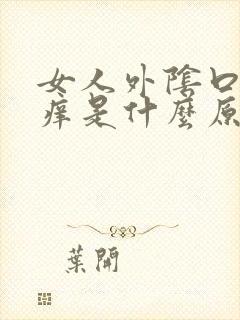 女人外阴口有点痒是什么原因