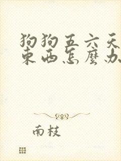 狗狗五六天不吃东西怎么办