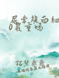 尿常规白细胞70严重吗