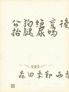 公狗绝育后还会抬腿尿吗