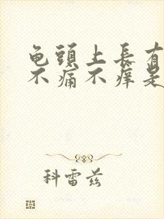 龟头上长有红斑不痛不痒是怎么回事