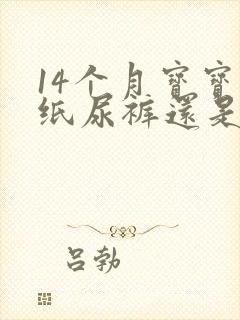 14个月宝宝穿纸尿裤还是拉拉裤