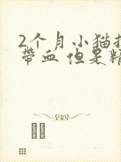 2个月小猫拉稀带血 但是精神很好