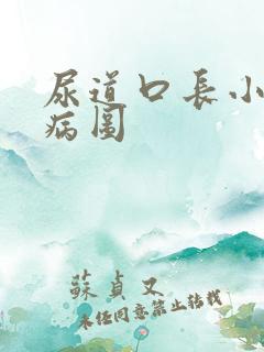 尿道口长小肉粒病图