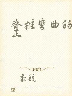 脊椎弯曲的样矫正