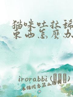 猫咪吐拉稀不吃东西怎么办