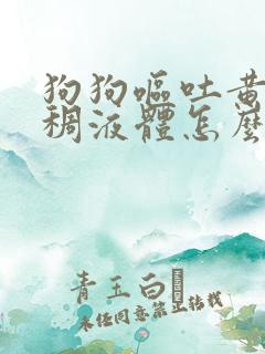 狗狗呕吐黄色粘稠液体怎么办