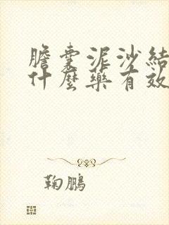 胆囊泥沙结石吃什么药有效