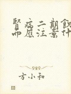 肾病二期饮食方面应注意什么?