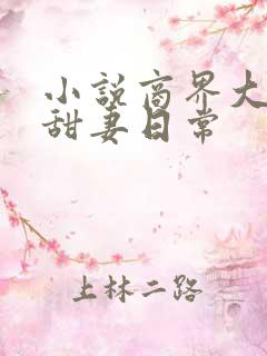 小说商界大佬的甜妻日常