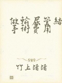 做输尿管结石的手术费用