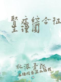 肾病综合征病理生理图