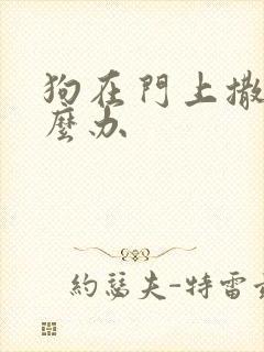 狗在门上撒尿怎么办