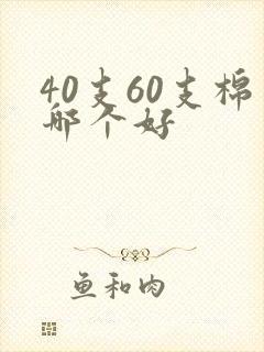 40支60支棉哪个好