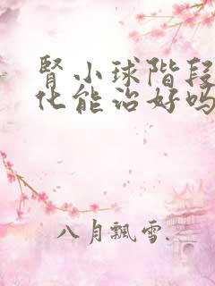 肾小球阶段性硬化能治好吗