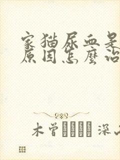 家猫尿血是什么原因怎么治疗