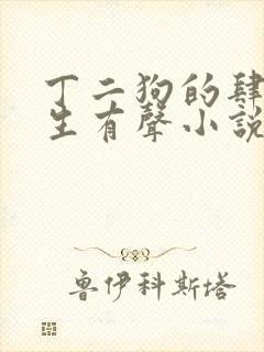 丁二狗的肆意人生有声小说