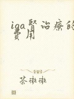 iga肾治疗的费用