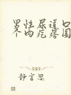 男性尿道口长了个肉疙瘩图