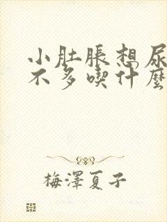 小肚胀想尿也尿不多吃什么药