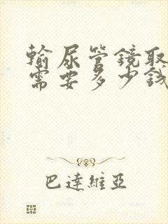 输尿管镜取石术需要多少钱