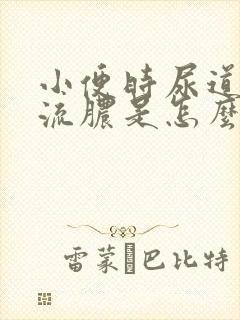 小便时尿道刺痛流脓是怎么回事