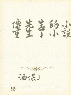 傅先生的小祖宗重生了小说